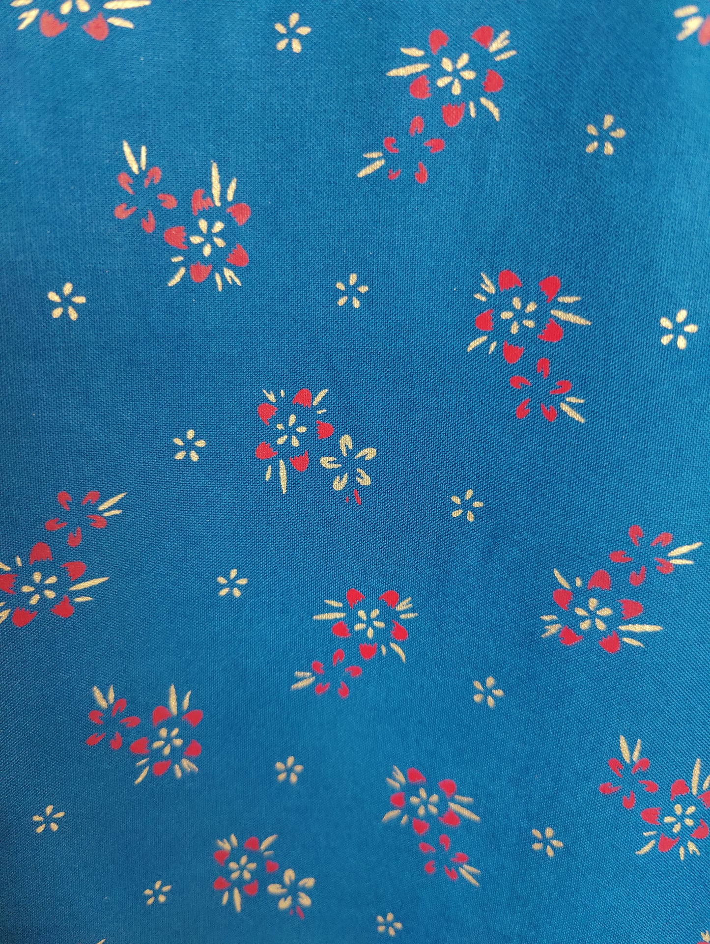 Vibrant Contrast: Blue and Red Printed Kurti