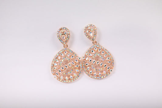 Teardrop Treasure earrings (AJ972)