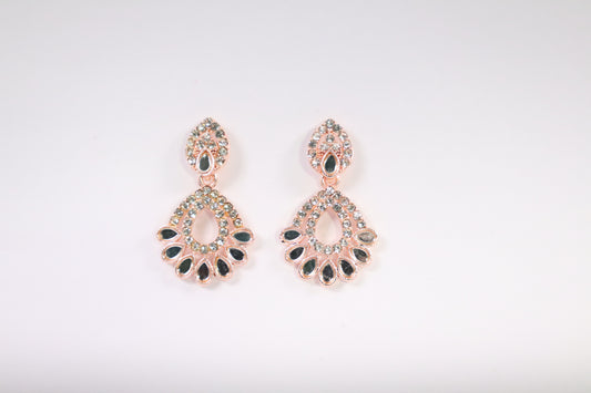 Sparkling Drop Earrings (AJ1231)