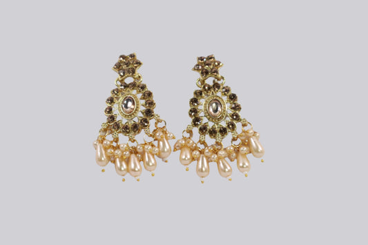 Vintage-Inspired Jhumka Earrings (DH F517)